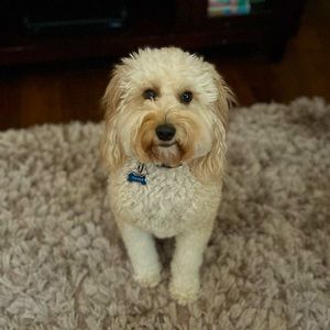 Meet your Posher, Joselyn